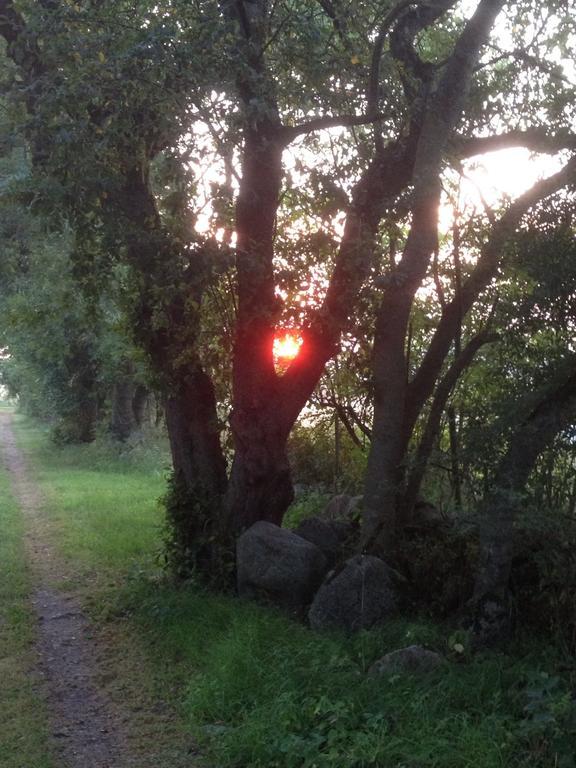 Paradiset Oestra Oeland Nedra Sandby Экстерьер фото